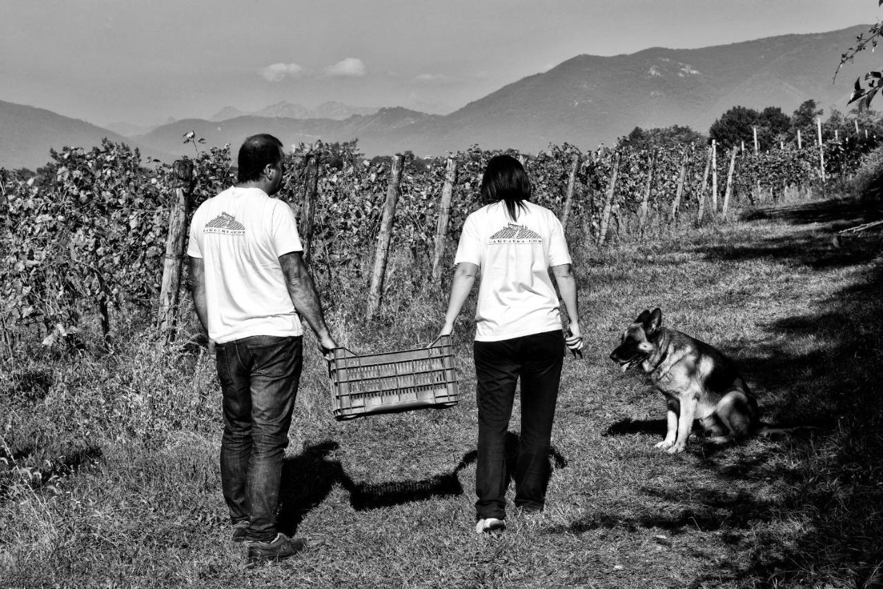 Agriturismo La Guarda Picedo Extérieur photo