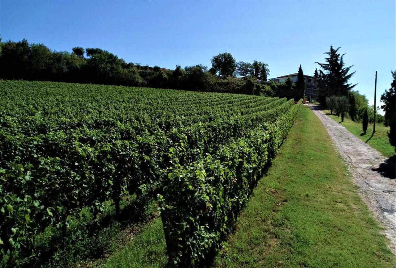 Agriturismo La Guarda Picedo Extérieur photo