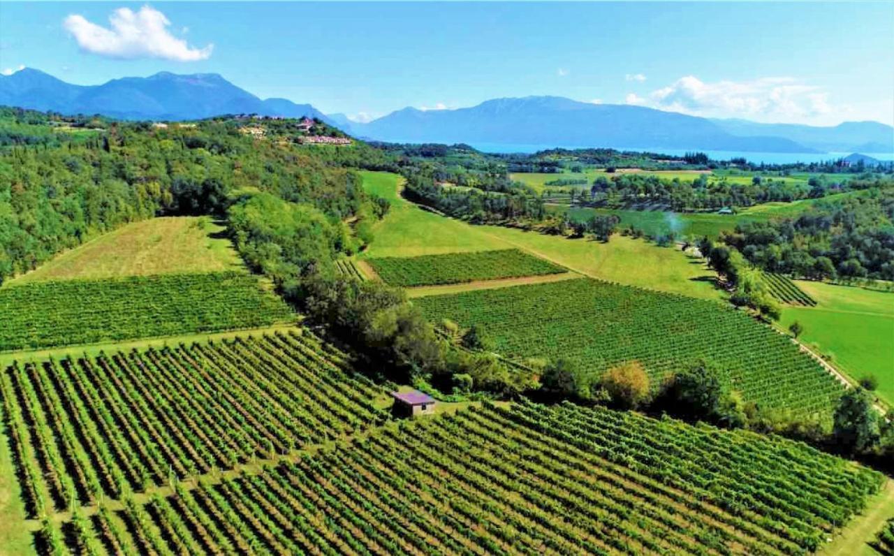 Agriturismo La Guarda Picedo Extérieur photo